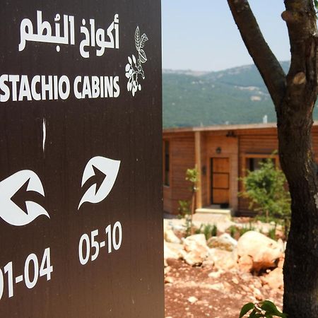 Ajloun Forest Reserve Jarash Exterior foto