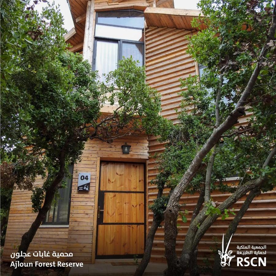 Ajloun Forest Reserve Jarash Exterior foto