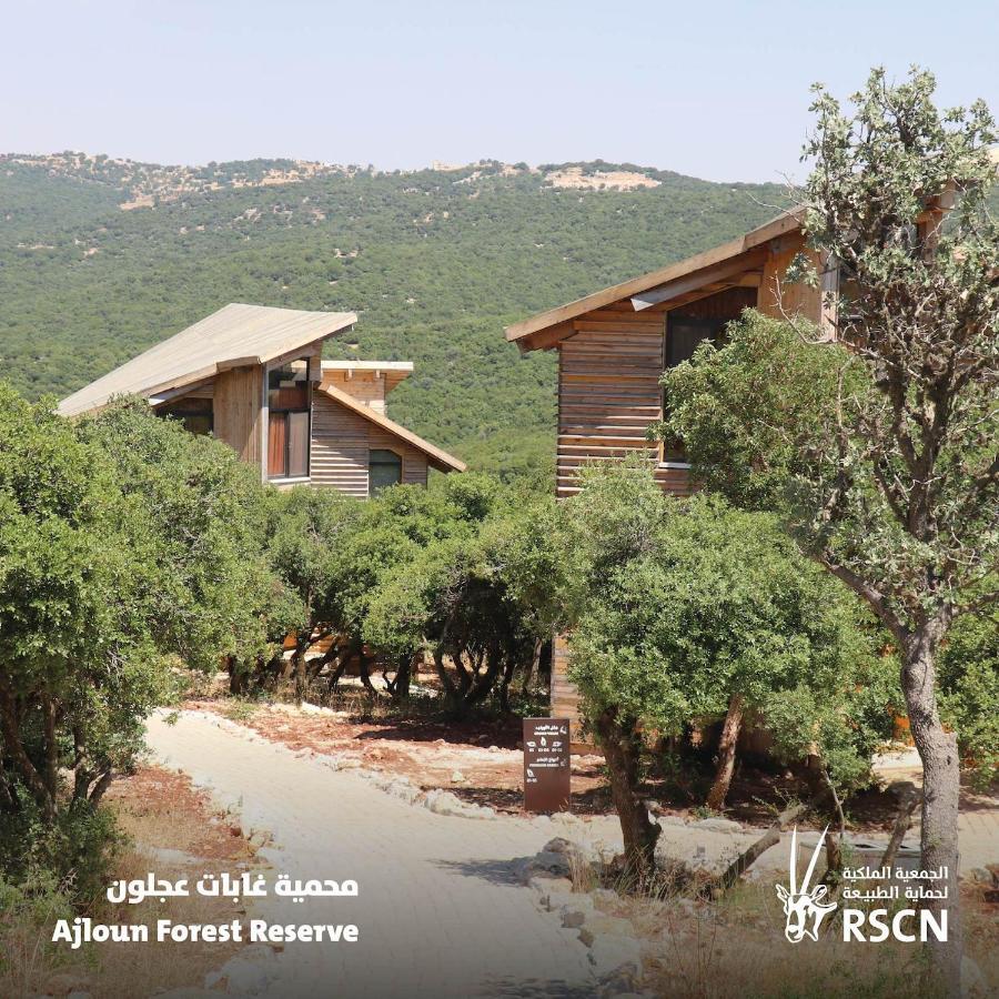 Ajloun Forest Reserve Jarash Exterior foto